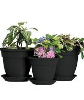 VENUS POT & SAUCER SET
